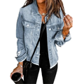 Dorina | Distressed Boyfriend Denim Jacket